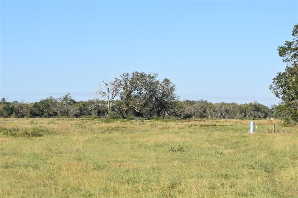 8734 Fm 521, Brazoria, Texas image 21