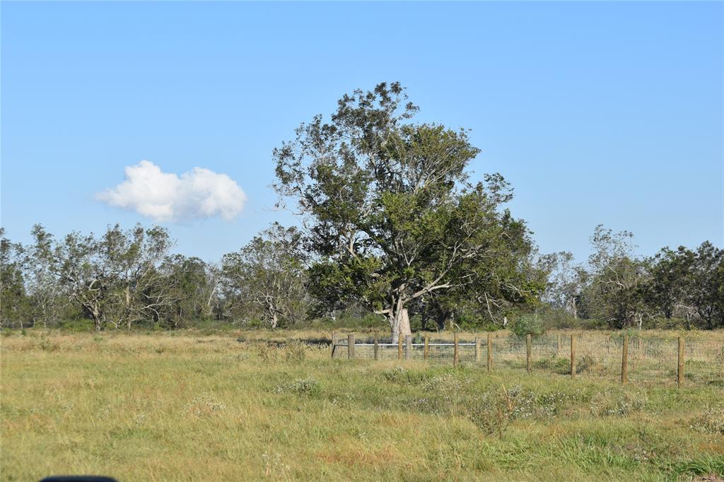 8734 Fm 521, Brazoria, Texas image 16