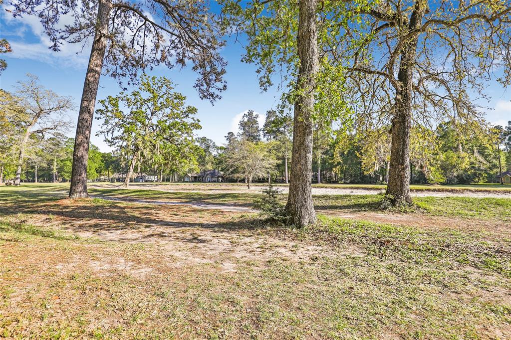 26719 Fairway Oaks Court, Huffman, Texas image 33