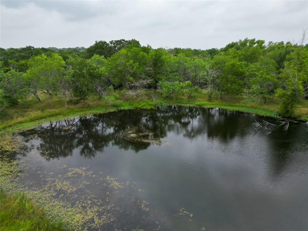 14226 4060, Scurry, Texas image 7