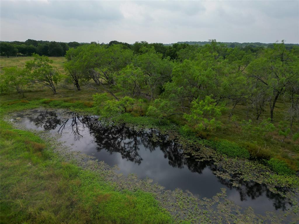 14226 4060, Scurry, Texas image 9