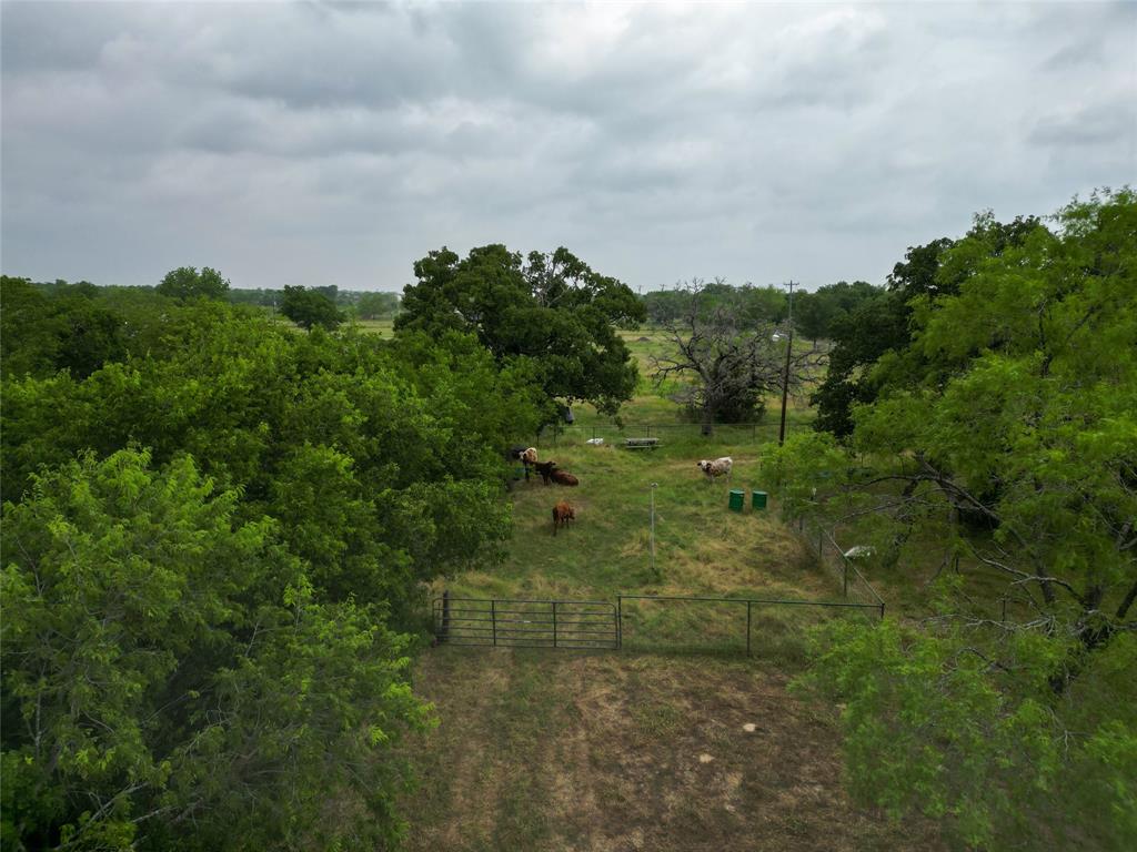 14226 4060, Scurry, Texas image 6