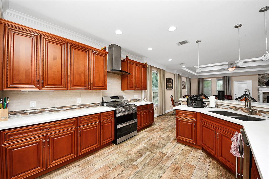 10447 Tree Hollow Circle, La Porte, Texas image 17