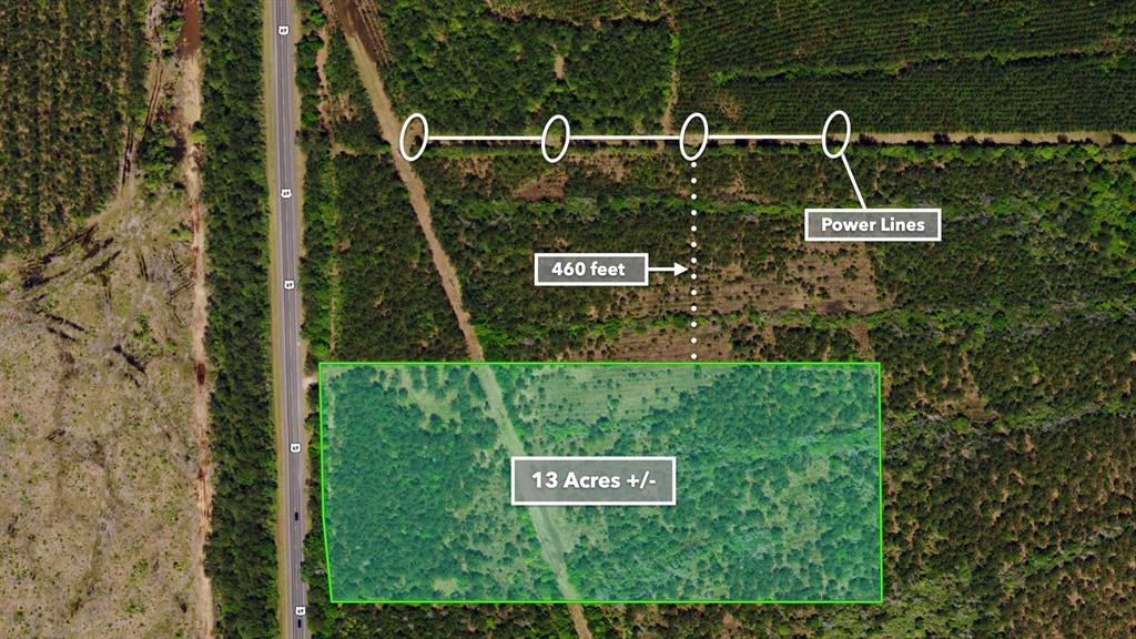 14650 Hwy 69n Road, Village Mills, Texas image 8