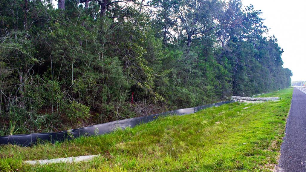 14650 Hwy 69n Road, Village Mills, Texas image 19