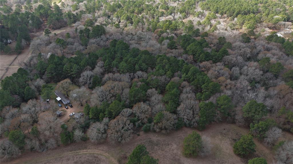 10299 Cox Lane, Plantersville, Texas image 9