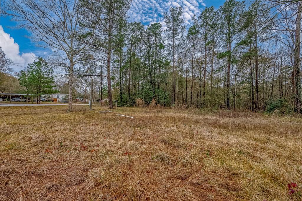 11232 Creek Drive, Cleveland, Texas image 9