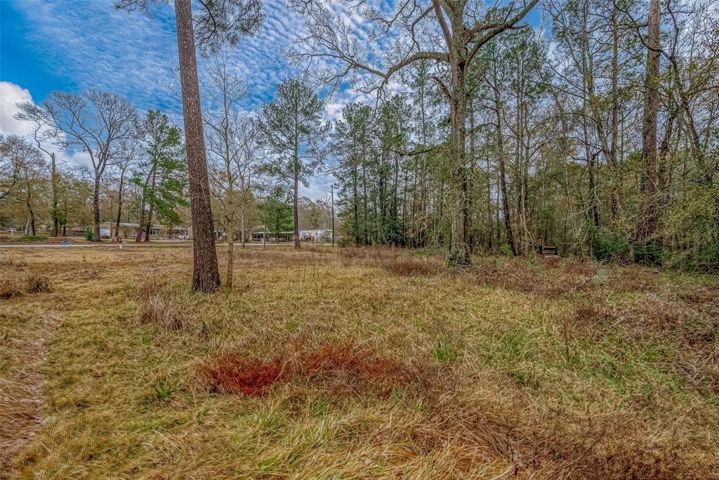 11232 Creek Drive, Cleveland, Texas image 10