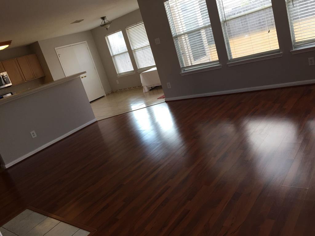 16306 Soaring Eagle Dr Drive, Sugar Land, Texas image 8