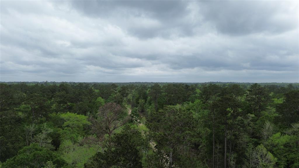 Brown Road, Saratoga, Texas image 12