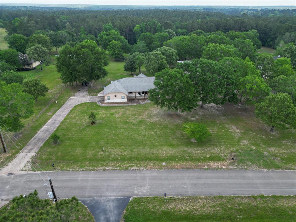 12678 Timberline Estates Drive, Willis, Texas image 45