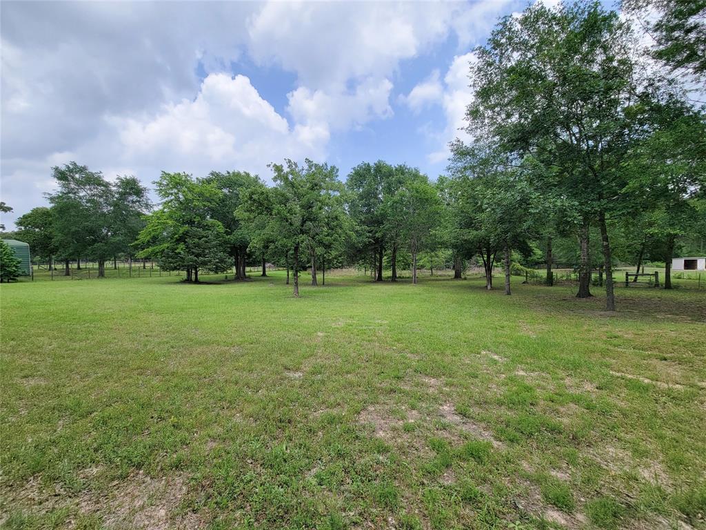 12678 Timberline Estates Drive, Willis, Texas image 36