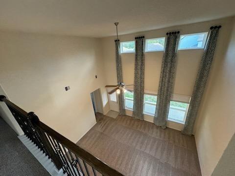 3036 Tulip Poplar Trail Ct, Conroe, Texas image 23