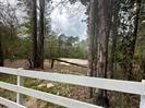 7389 Teaswood Drive