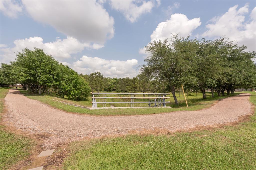 4731 Cavern Drive, Friendswood, Texas image 44