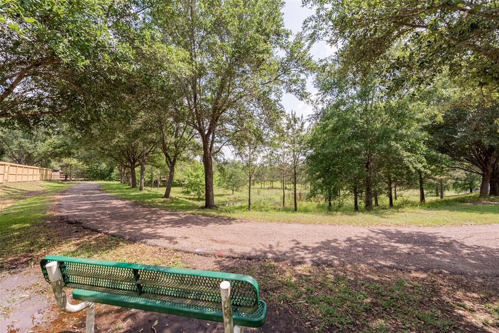 4731 Cavern Drive, Friendswood, Texas image 45