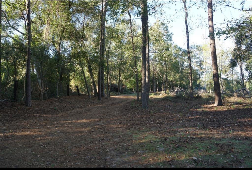 424 S Avenue D, Humble, Texas image 8