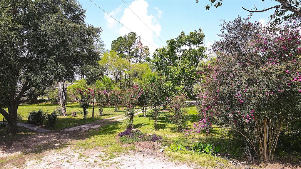 17909 Julia Avenue, Needville, Texas image 14