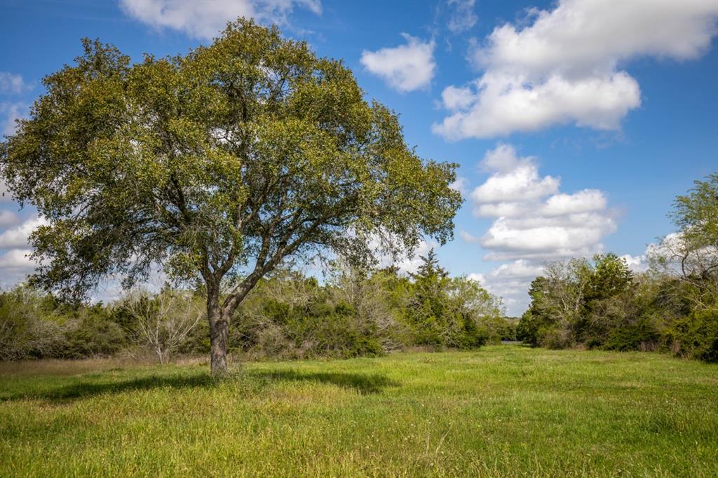 1255 County Road 260 Rd, Hallettsville, Texas image 36