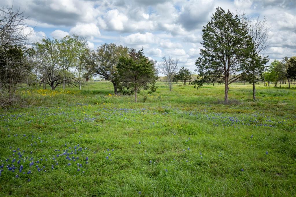 1255 County Road 260 Rd, Hallettsville, Texas image 40