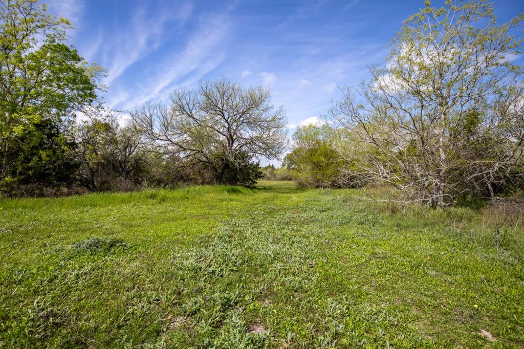 1255 County Road 260 Rd, Hallettsville, Texas image 34