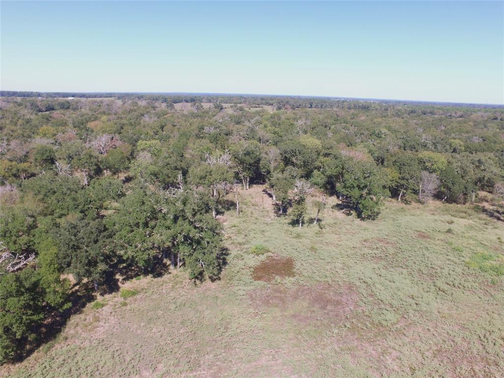 745 Fm 2967, Crockett, Texas image 13