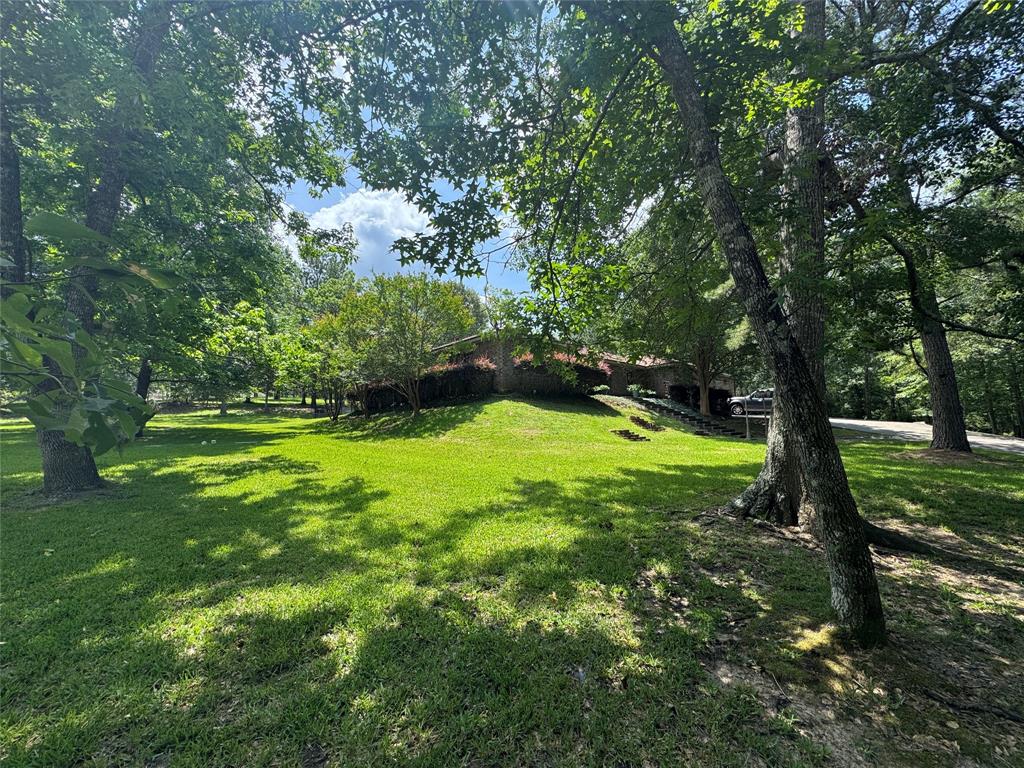 156 Magnolia Bend Drive, Livingston, Texas image 3