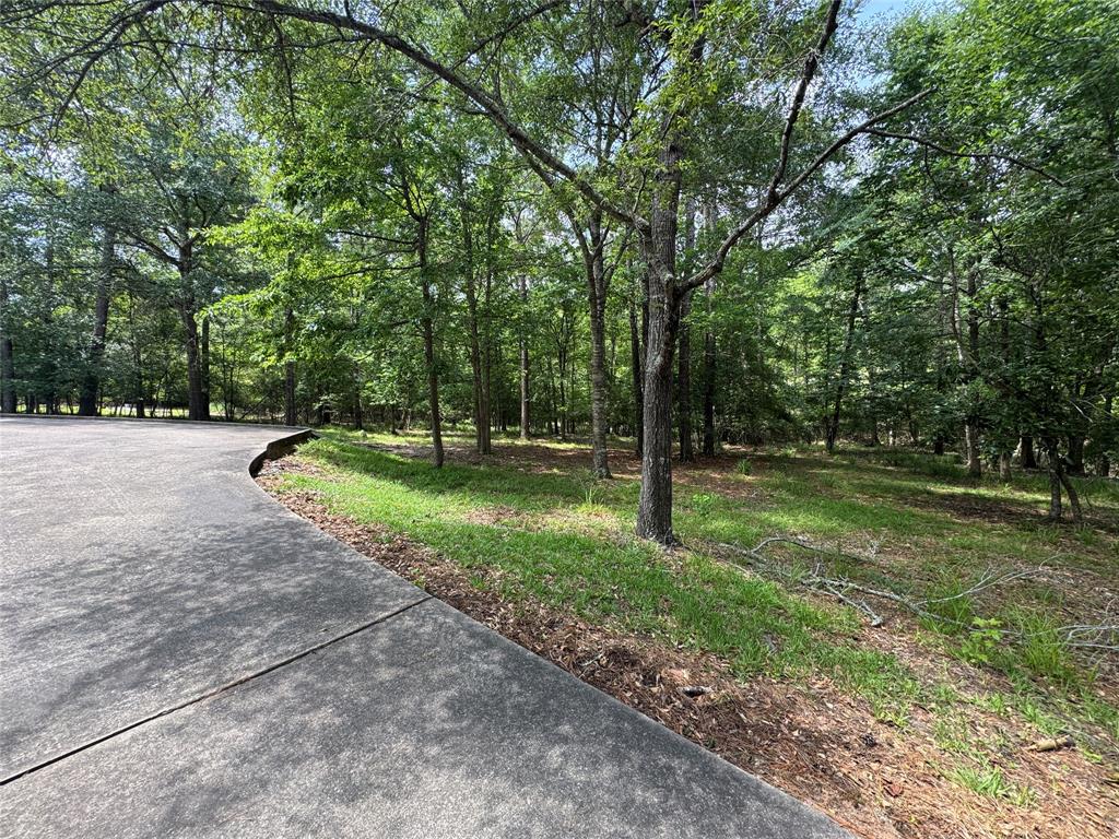 156 Magnolia Bend Drive, Livingston, Texas image 16