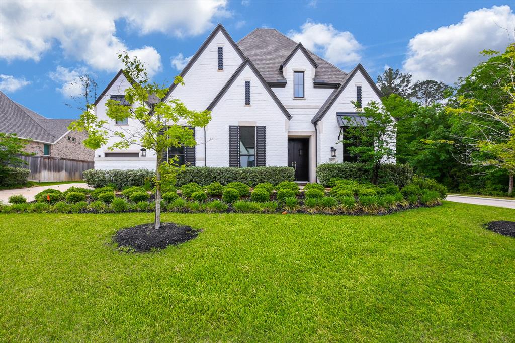 202 Calm Savanna Court, Conroe, Texas image 3