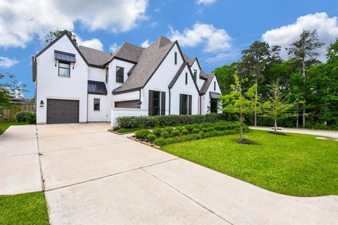 202 Calm Savanna Court Conroe TX 77318