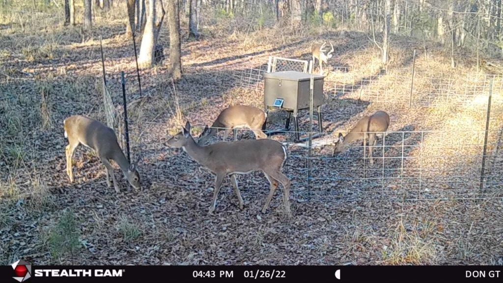 629 Anderson County Road 1215, Grapeland, Texas image 33