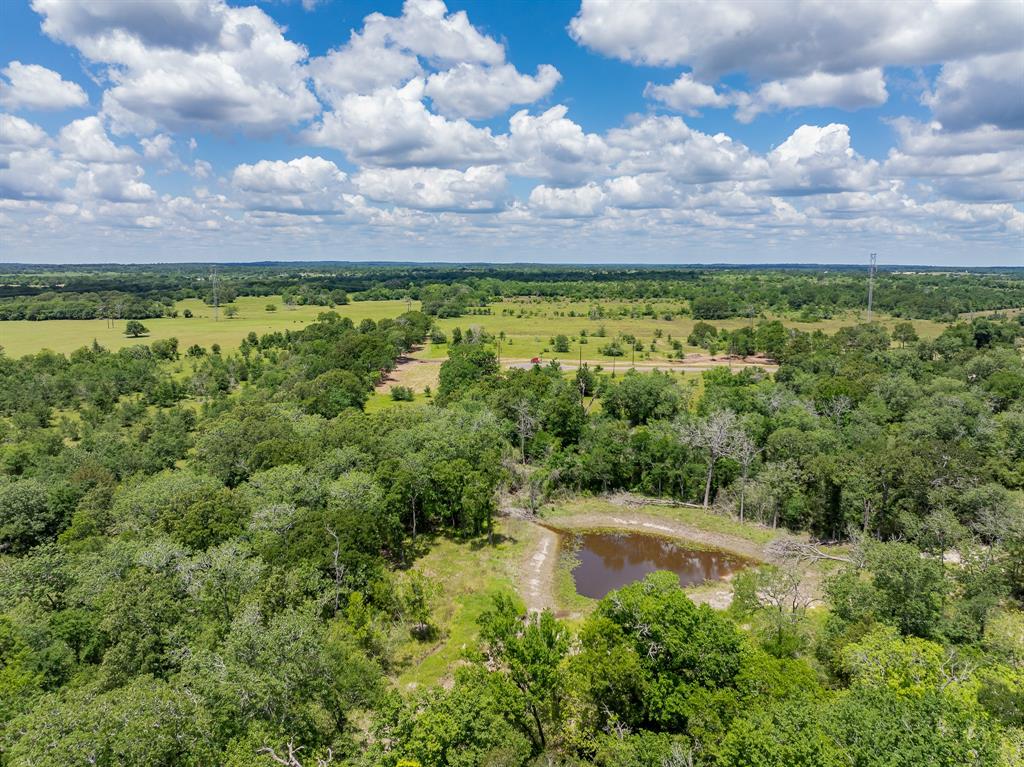 6512 Atakapan Trail Trl, Bedias, Texas image 7