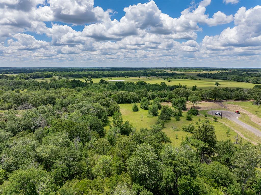 6512 Atakapan Trail Trl, Bedias, Texas image 6