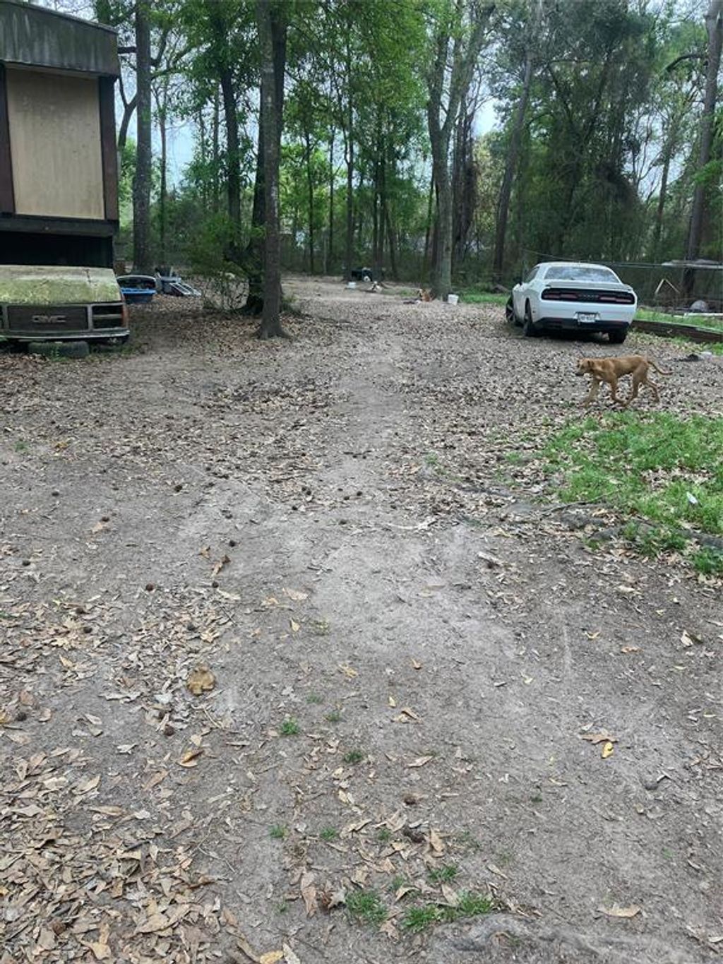 Photo of 21072 Patricia Lane, New Caney, TX 77357 (MLS # 13114292)