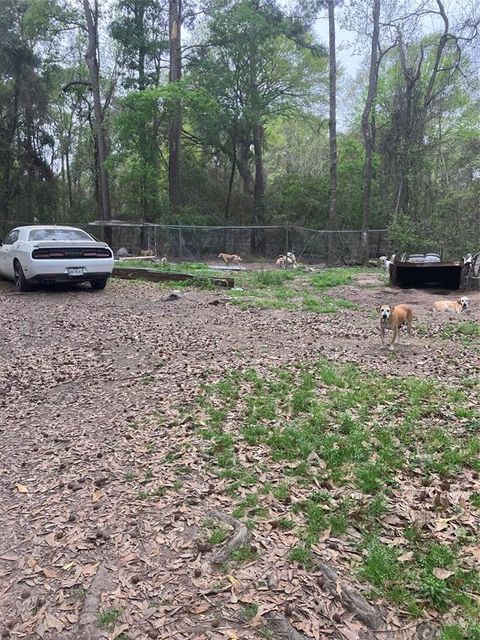 Vacant Land For Sale - 21072 Patricia Lane<br/> New Caney, TX 77357