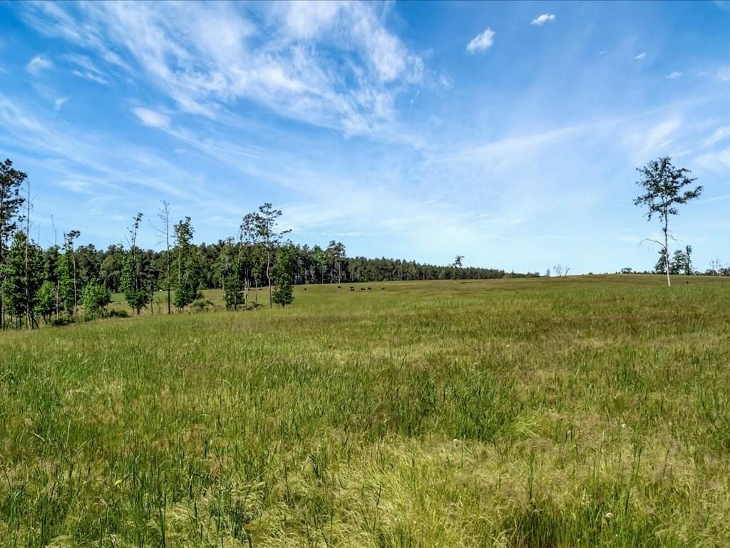 3103 Cheeseland Road Rd, Pollok, Texas image 41