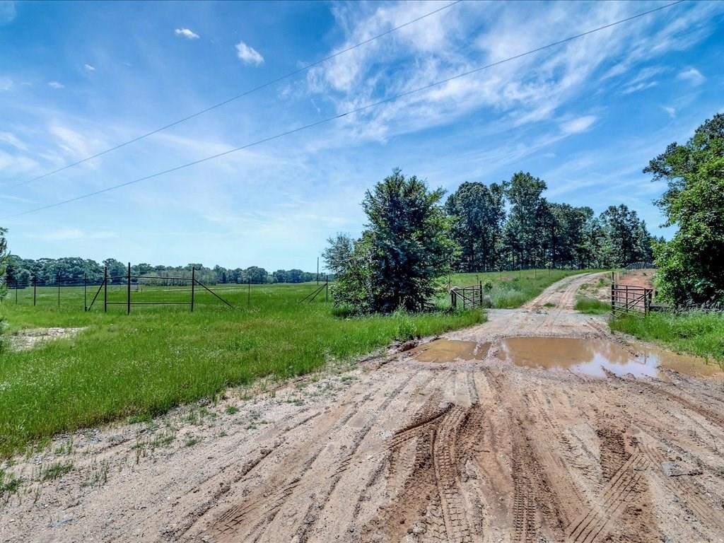 3103 Cheeseland Road Rd, Pollok, Texas image 17