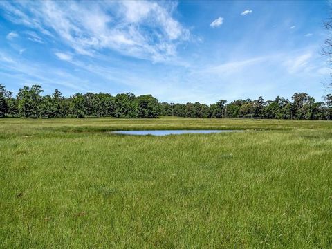 3103 Cheeseland Road Pollok TX 75969