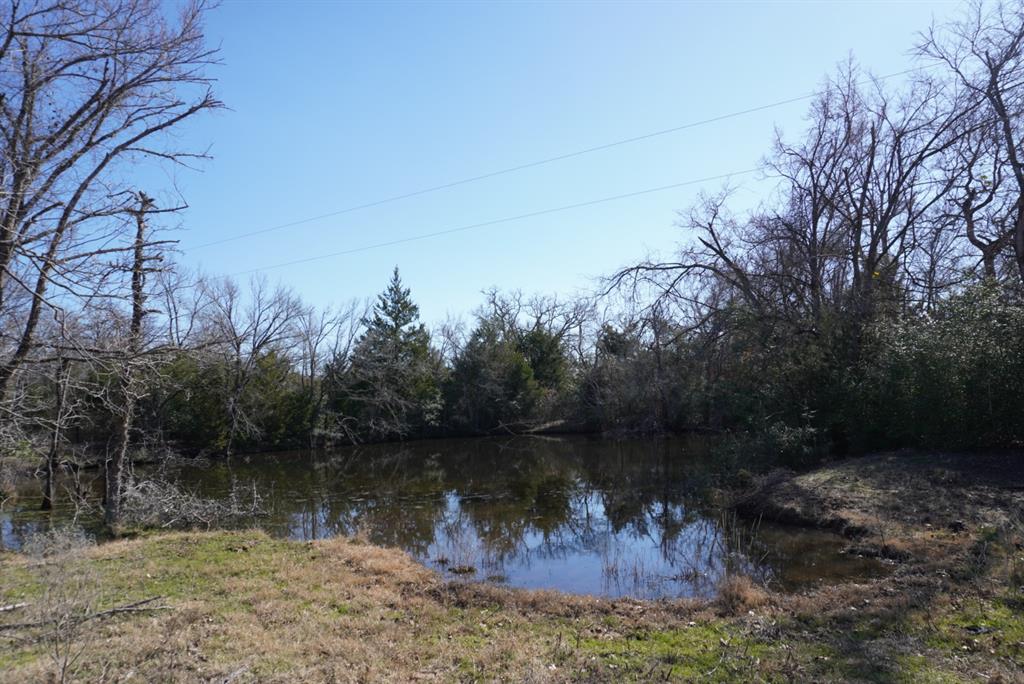 11502 E B Watson Road, Bremond, Texas image 14