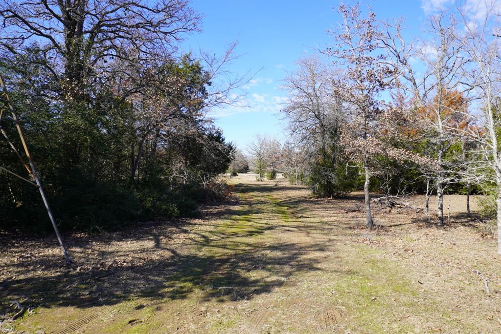 11502 E B Watson Road, Bremond, Texas image 12