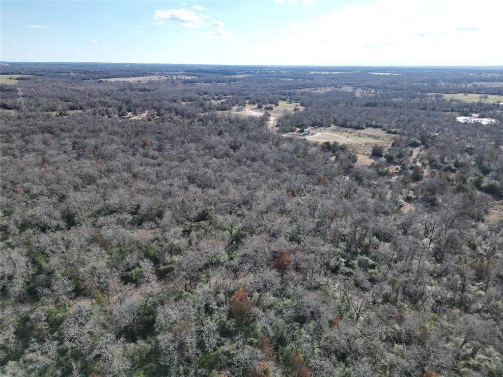 11502 E B Watson Road, Bremond, Texas image 6