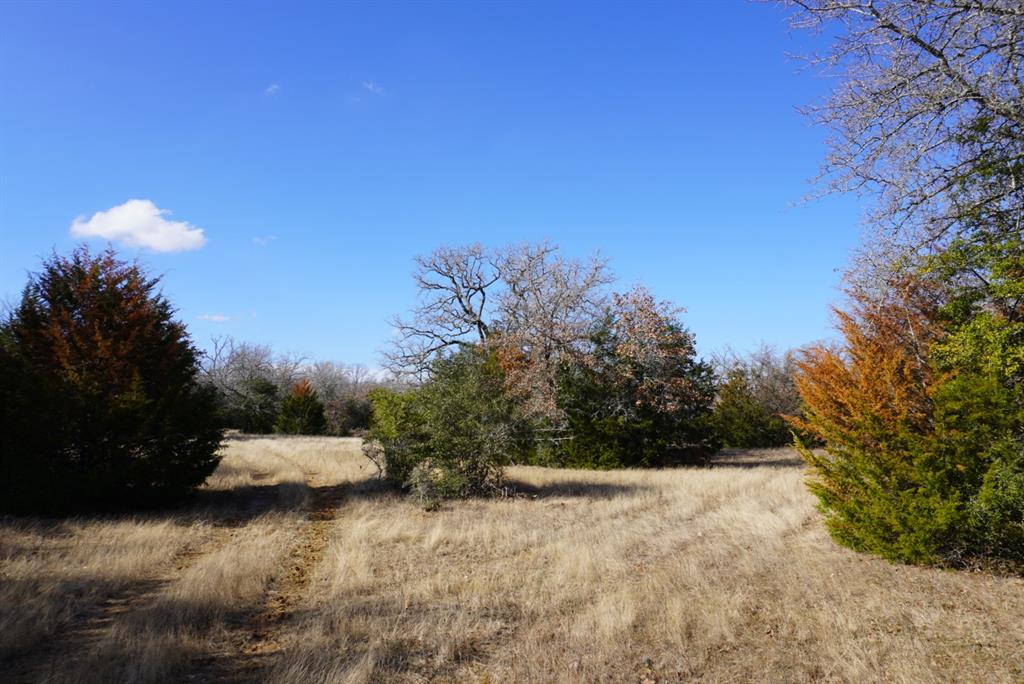 11502 E B Watson Road, Bremond, Texas image 17