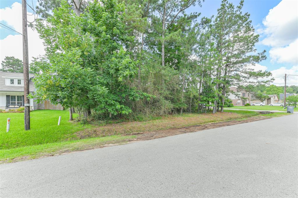 6819 Dillon Dr Dr, Magnolia, Texas image 8