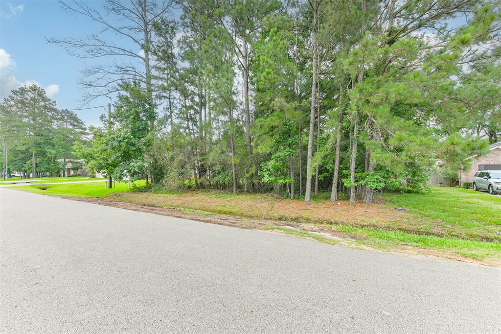 6819 Dillon Dr Dr, Magnolia, Texas image 10