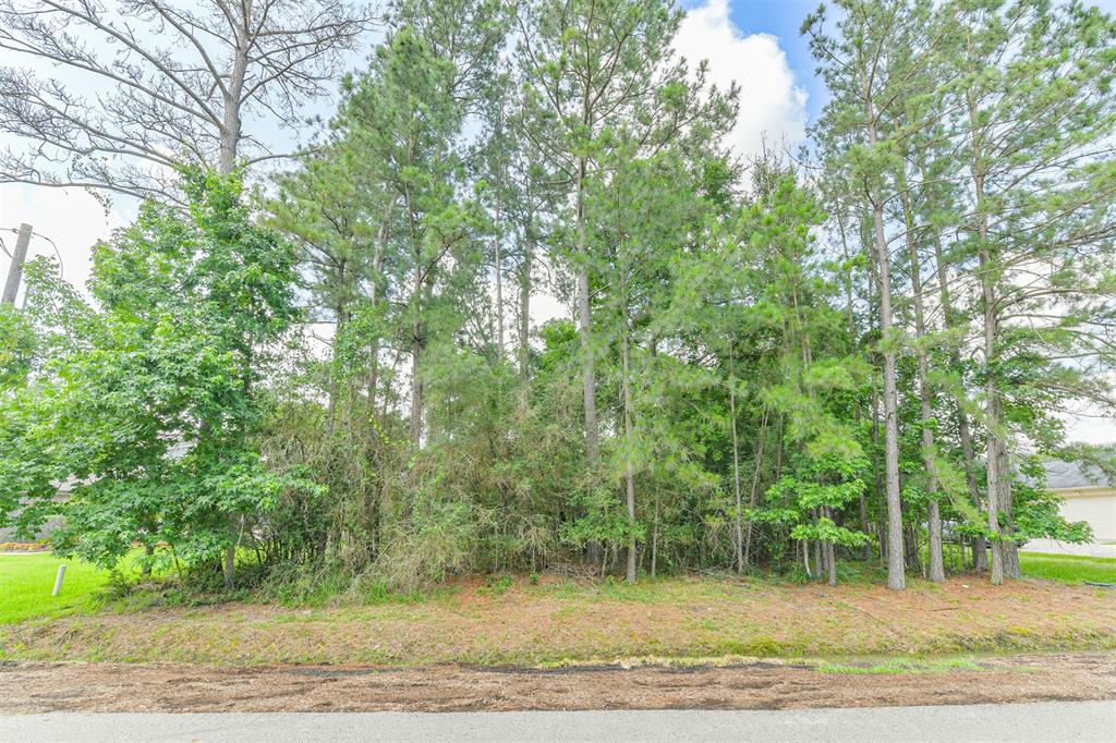 6819 Dillon Dr Dr, Magnolia, Texas image 9