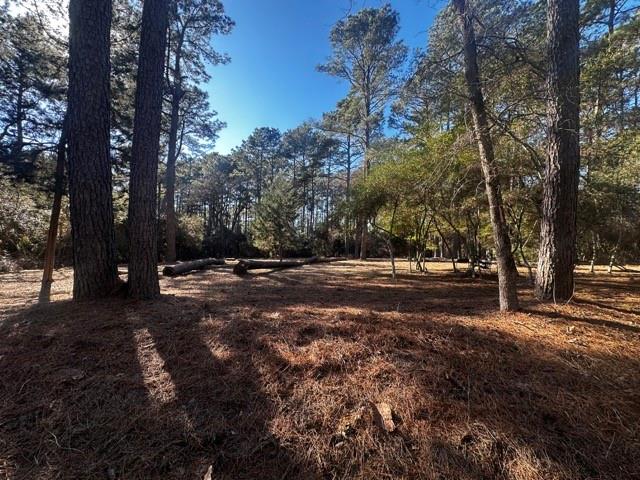 TBD Lot 41 Cherokee Ln, Waller, Texas image 6