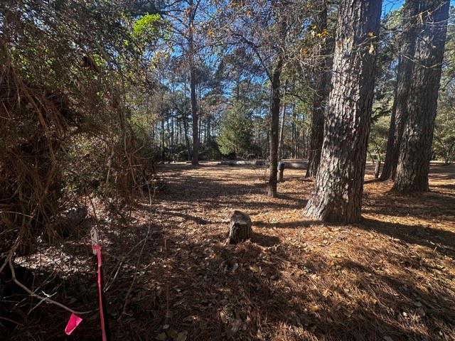 TBD Lot 41 Cherokee Ln, Waller, Texas image 1
