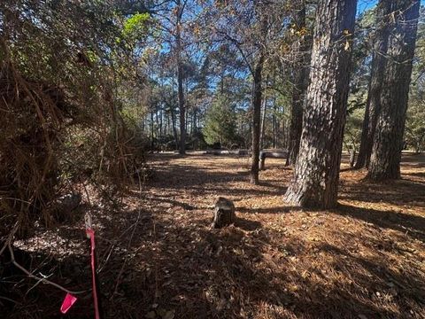 Photo of 41 Cherokee Ln, Waller, TX 77445 (MLS # 60151081) Photo of 41 Cherokee Ln, Waller, TX 77445 (MLS # 60151081)