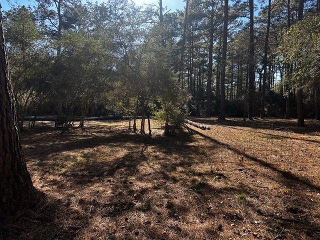 TBD Lot 41 Cherokee Ln, Waller, Texas image 5