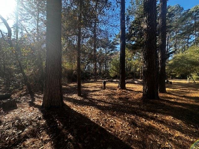 TBD Lot 41 Cherokee Ln, Waller, Texas image 3